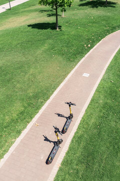 Electric Scooters Parked on a Sunny Bike Lane in a Public Park