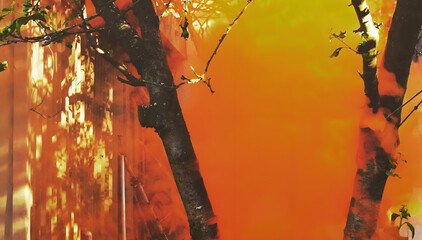 Trees with bright orange smoke and abstract sunlight background"