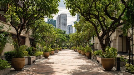 Obraz premium Urban Oasis - Sun-Dappled Pathway Through Lush Green Canopy, Modern Skyline Glimpsed.