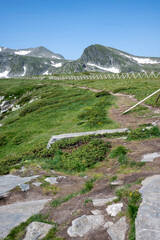 Fototapety na wymiar - Fototapeta24.pl