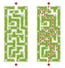 Green vertical hedge maze vector Illustration. Top view of the open air rectangular labyrinth made of garden bushes and grass. Education logic game for kids isolated on white.