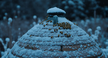 Bees Huddled on a Snow covered Beehive Roof in a Cold, Gloomy Outdoor Setting