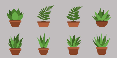 Icon set indoor plants