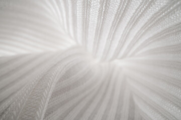 Abstract White Fabric Texture and Folds