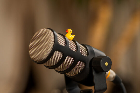 Rubber duck sits atop microphone in a cozy recording studio setting during a creative session