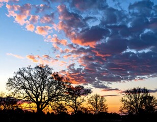 Obraz premium Dramatic sunset sky with silhouetted trees