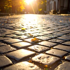 Cobblestone path bathed in sunlight