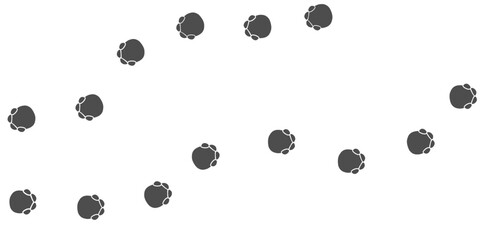 Footprints of Animal, Traces of a elephant on white background. Elephant  silhouette animal tracks. Paw Print. Vector illustration. EPS10.