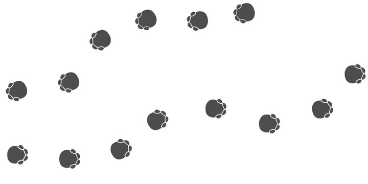 Footprints of Animal, Traces of a elephant on white background. Elephant  silhouette animal tracks. Paw Print. Vector illustration. EPS10.
