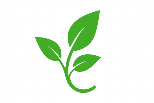 Green leaves growing symbolize nature, growth, and environmental concepts, with transparent background for easy integration into designs