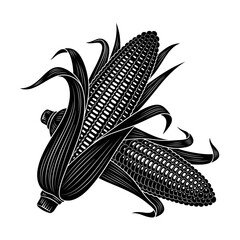 Vector art of two ears of corn on the cob, hand drawn vector illustration in engraving style for design element
