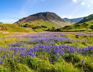 Lush wildflowers carpet a valley beneath a mountain peak