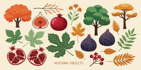 Vibrant autumn nature collection with colorful fall trees, ripe figs, pomegranates, and diverse seasonal leaves, ideal for harvest and seasonal design projects