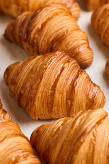 Freshly Baked Golden Croissants