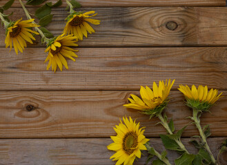 Girasoles sobre fondo de madera