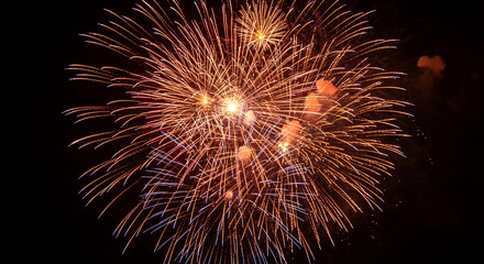 Orange and gold fireworks burst against a dark night sky, creating a vibrant and dynamic display, showcasing celebration and festivity