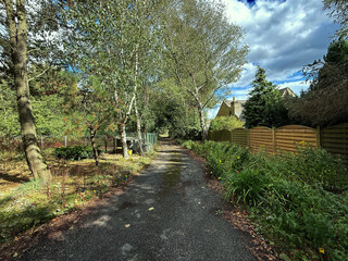 The lane we walked, now overgrown, still hums with steps we used to own. The trees remember every word, the sky, a faded photograph, still holds the echo of our past in Norwood Green, UK