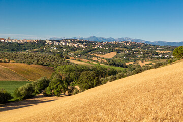 Countryside landscape with a harvested golden field in the foreground and a view of the city of...