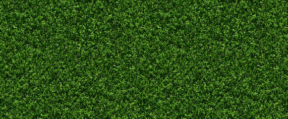 Fototapeta premium seamless pattern: green grass on the lawn. wild grass