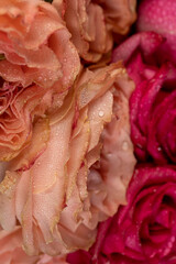 beautiful red and orange roses in drops of water in a bouquet lying on top of each other, several...