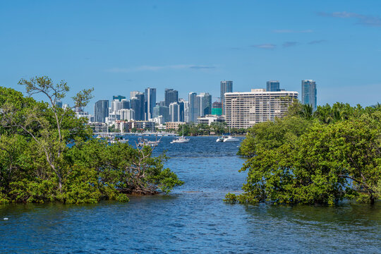Downtown mar y edificios en miami