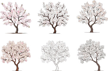 Obraz premium Hand-drawn cherry blossom trees, spring floral illustrations, vintage style, botanical tree sketch, blooming flowers, nature art, seasonal vector design
