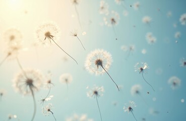 Obraz premium Floating dandelion seeds on light blue sky background. Soft wind carries delicate white blowballs, creating airy, peaceful spring scene. Botanical illustration conveys lightness, nature gentle cycle.