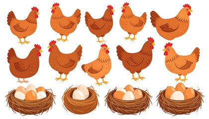 Illustration Brown Hens And Nests