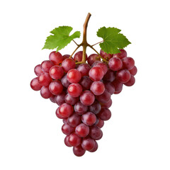 bunch of red grapes isolated on transparent background (alpha channel)
