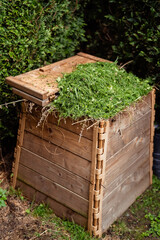 Wooden compost bin filled with fresh cut green grass in the backyard of garden. Eco-friendly lifestyle, sustainability, organic gardening concept in the countryside