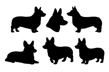 Dogs in Motion: Four Canines in a Row