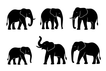 Obraz premium set of elephants silhouettes