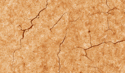 Fototapeta premium Organic cork texture for design projects. This porous, lightweight surface is great for nature, wine, or eco-conscious themes