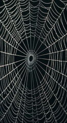 Obraz premium Close-up of dew-covered spiderweb, intricate radial pattern, showcasing nature's delicate artistry, symbolizing fragility, patience, and interconnectedness