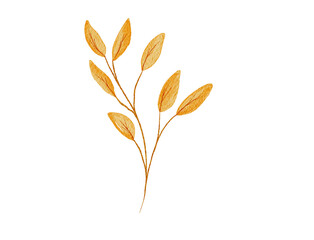 Fototapeta premium Watercolor Orange Leaves Branch Illustration