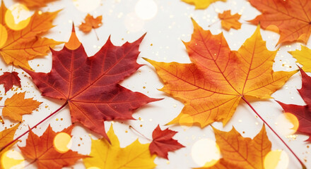 Obraz premium Red and orange maple leaves scattered on white background with gold glitter, showcasing autumnal colors and textures, ideal for fall-themed designs or seasonal greetings