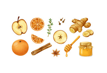 Christmas spices isolated on transparent background. Watercolour hand-drawn winter fruits and spices 