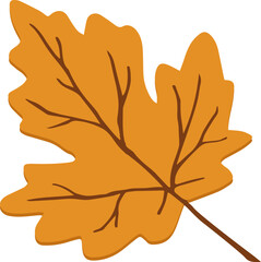 Yellow maple leaf illustration isolated on white background. Autumn natural decor. Cut out fall botany object. Hand drawn clipart, single natural graphic element.