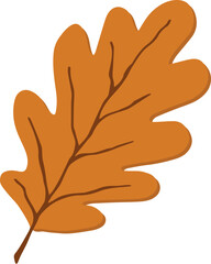Orange oak leaf illustration isolated on white background. Yellow autumn natural decor. Cut out fall botany object. Hand drawn clipart, single natural graphic element.