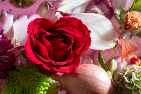 Rose with Shallots