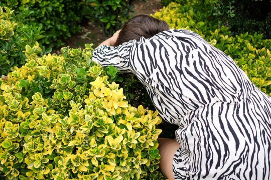 Woman in Zebra Print Hiding in the Bushes