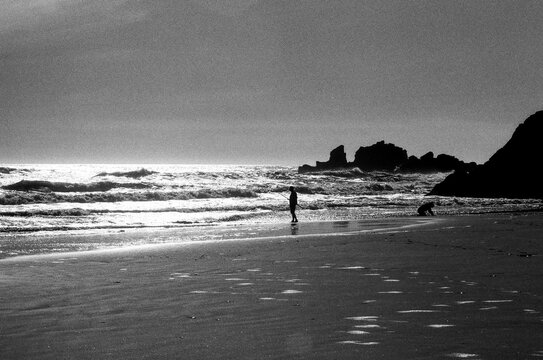Fototapeta Evening Silhouettes on Rugged Beach