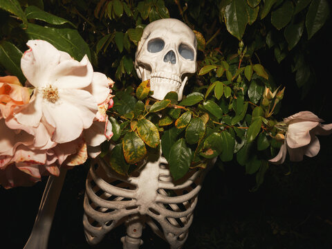 Skeleton Hidden Among Flowers in a Nighttime Garden