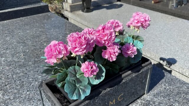 Artificial pink geraniums in a granite planter with initials on a tombstone