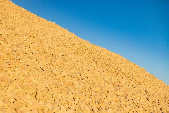 Golden Grain Field Under Clear Blue Sky in Natural Sunlight