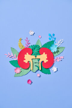 Colorful and artistic paper cut illustration of human kidneys