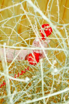 hand clutching red phone through dry brushwood