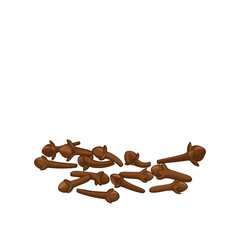 Vector illustration of dried cloves spice isolated on white background.
