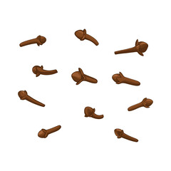 Vector illustration of dried cloves spice isolated on white background.