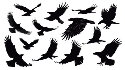 Obraz premium Silhouette illustration showing a flock of eagles soaring and flying against a white background space